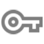 Key Icon